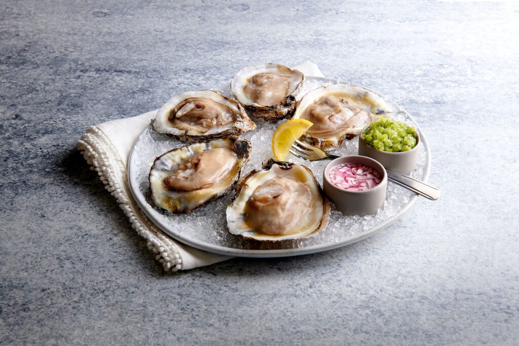 Oysters on the Half Shell image