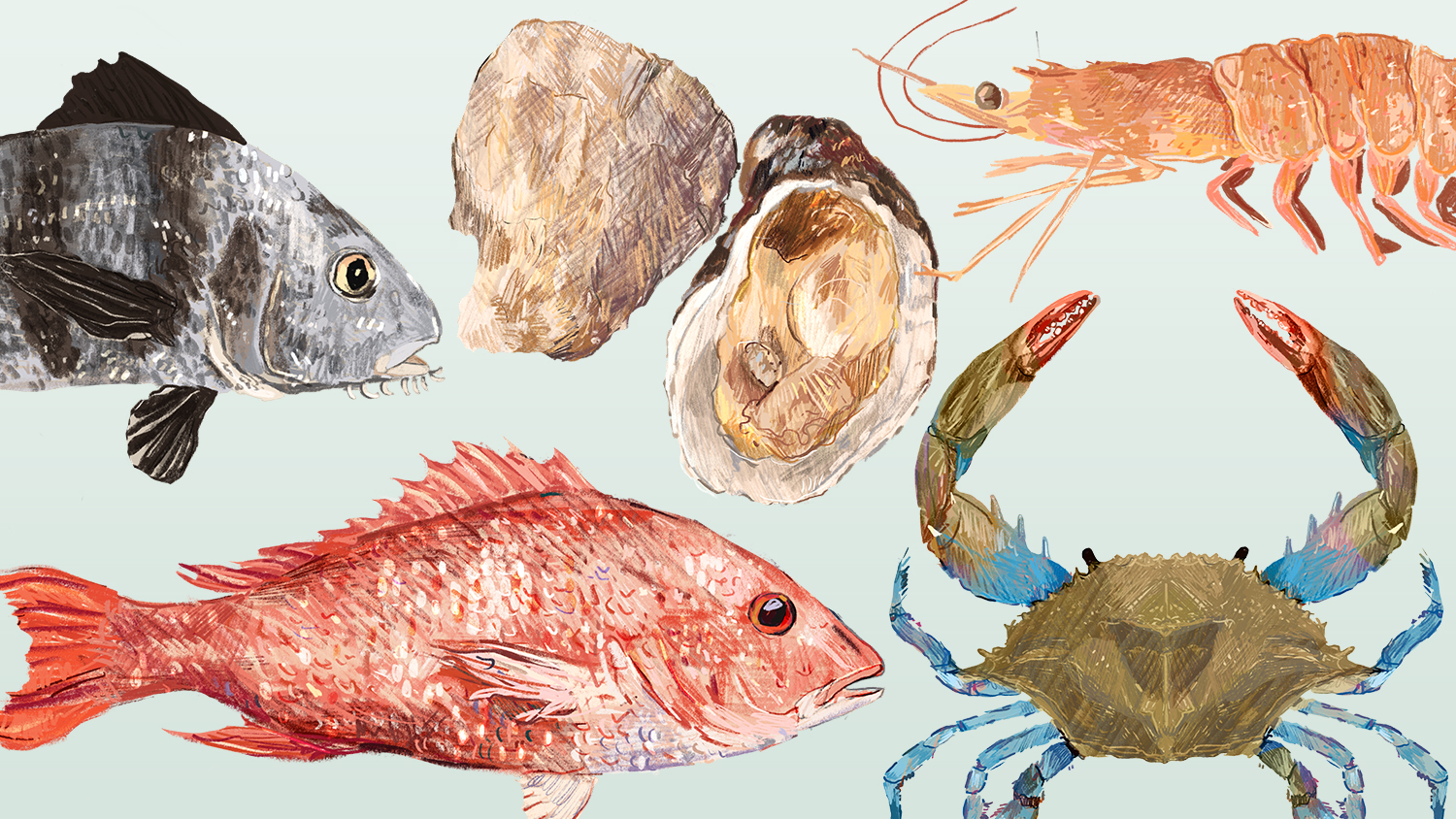 Texas Gulf Seafood Texas Gulf Seafood Fresh Outta Texas